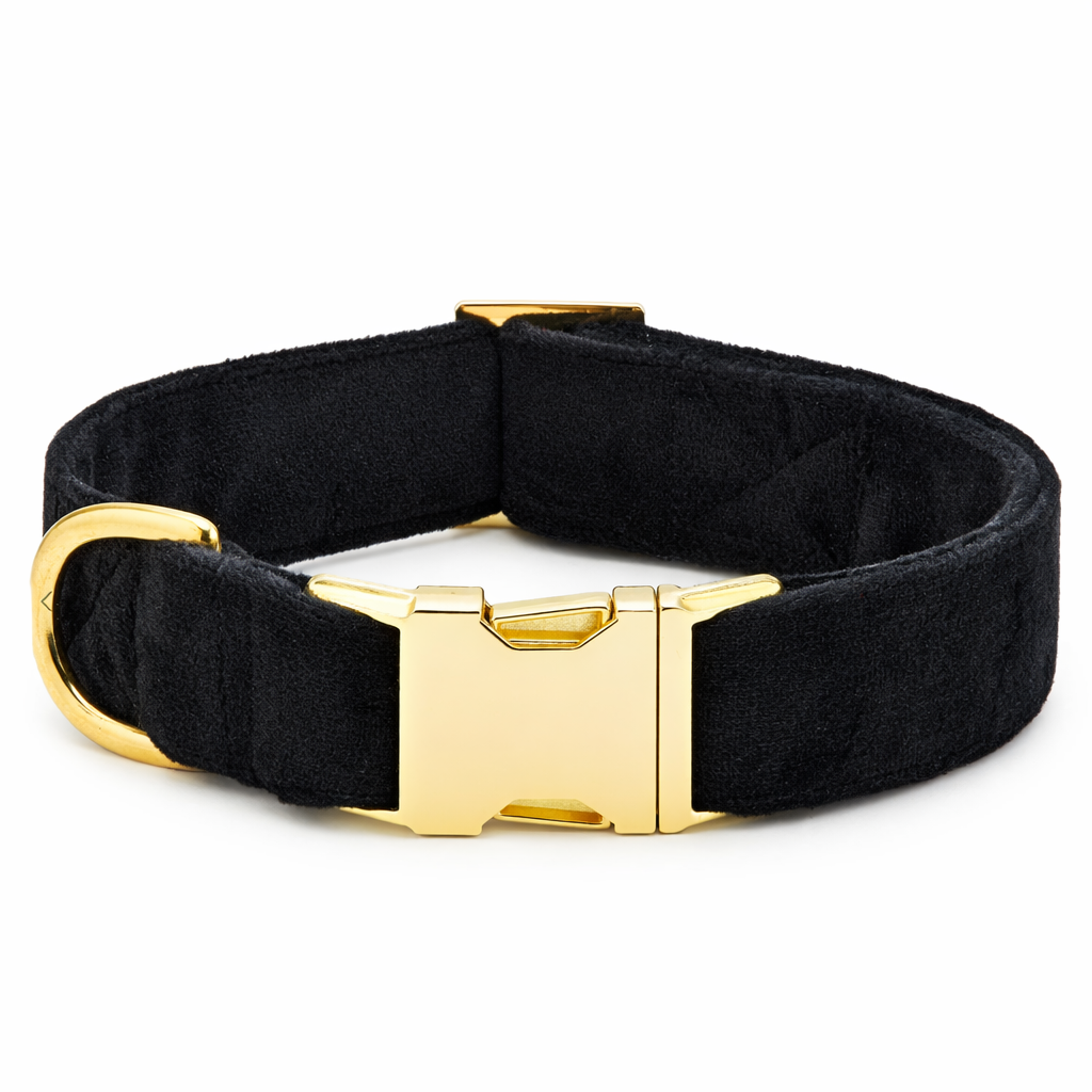 Verstelbare Hondenhalsband | Zwart